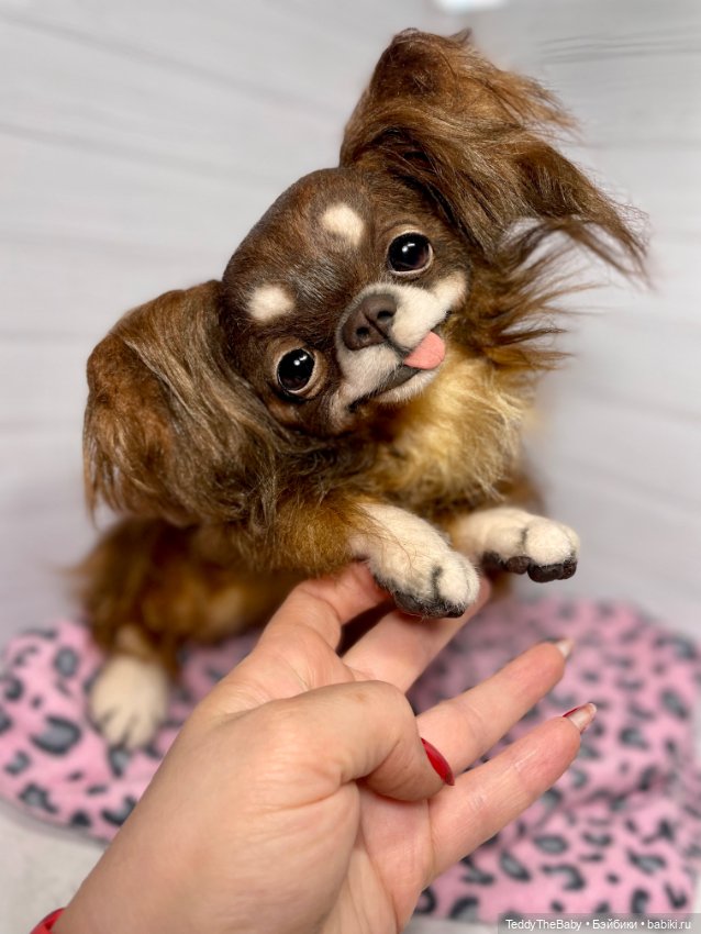 Длинношерстный портретный