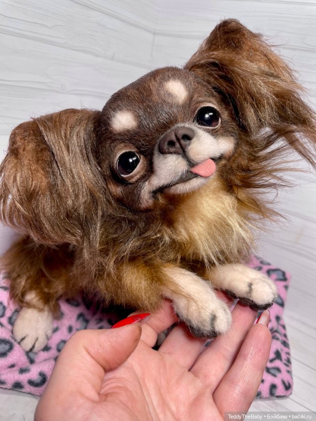 Длинношерстный портретный