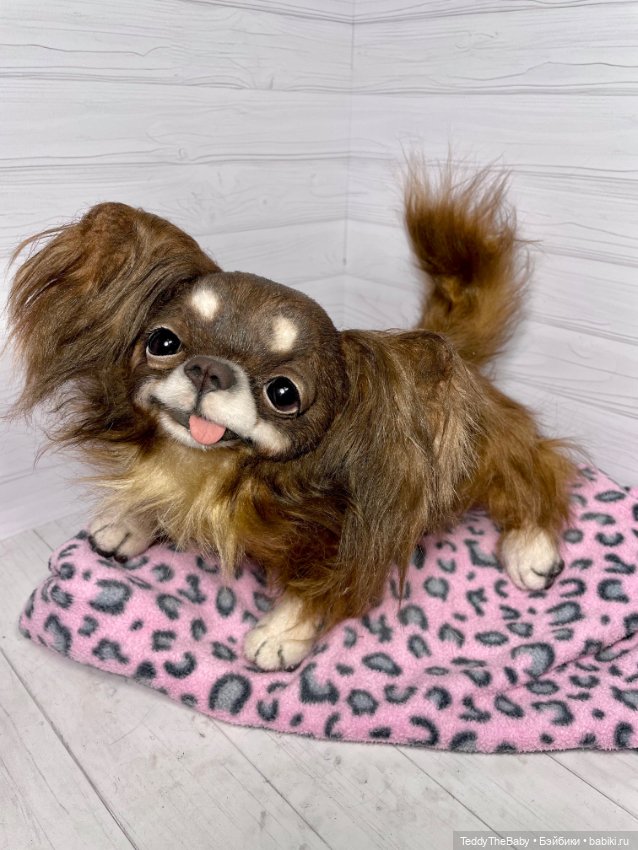 Длинношерстный портретный