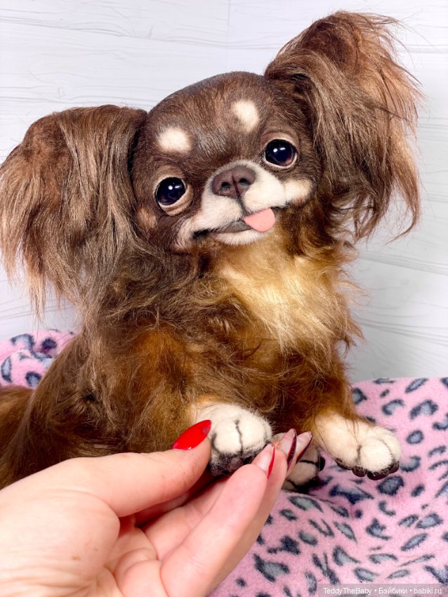 Длинношерстный портретный