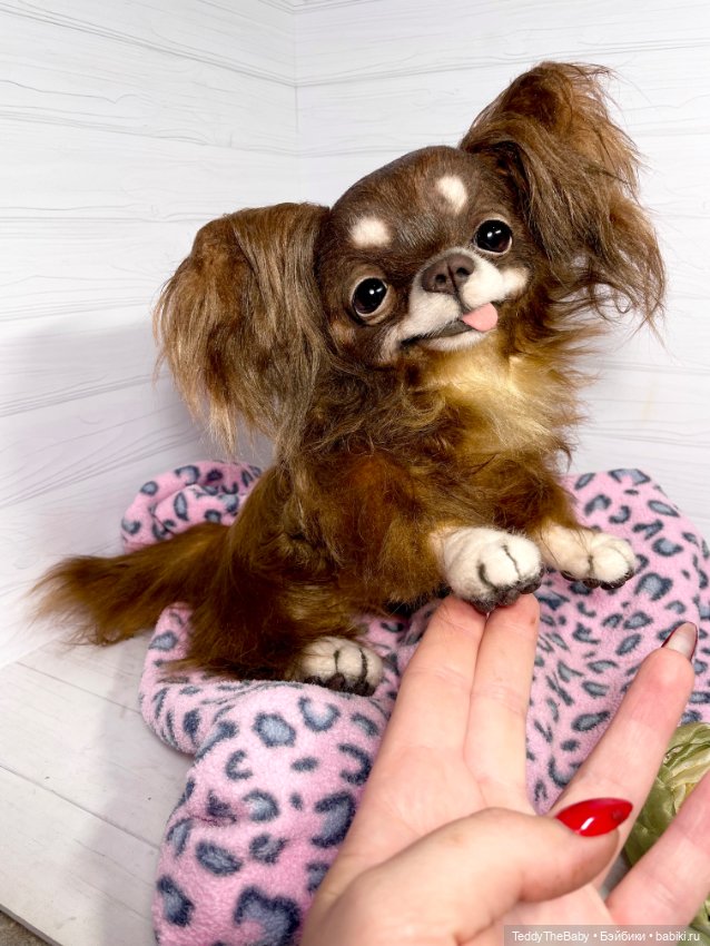 Длинношерстный портретный