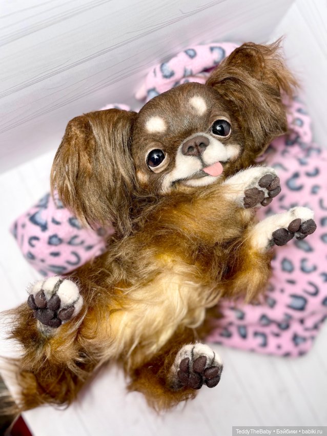 Длинношерстный портретный