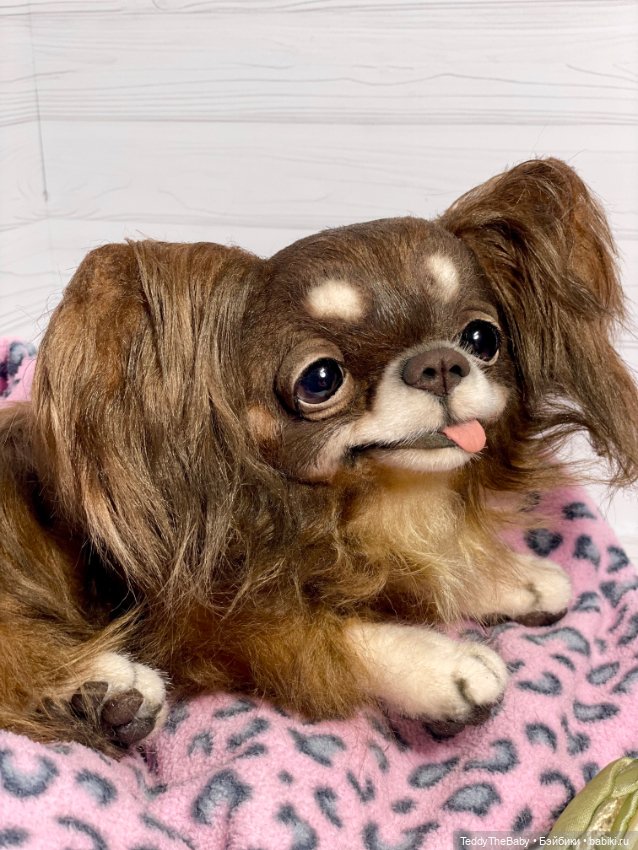 Длинношерстный портретный (фото 9)