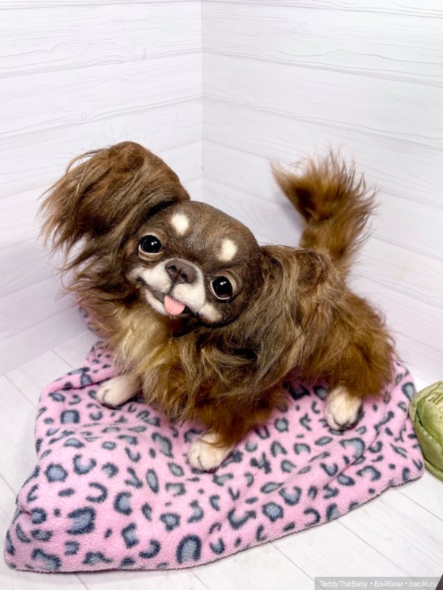 Длинношерстный портретный