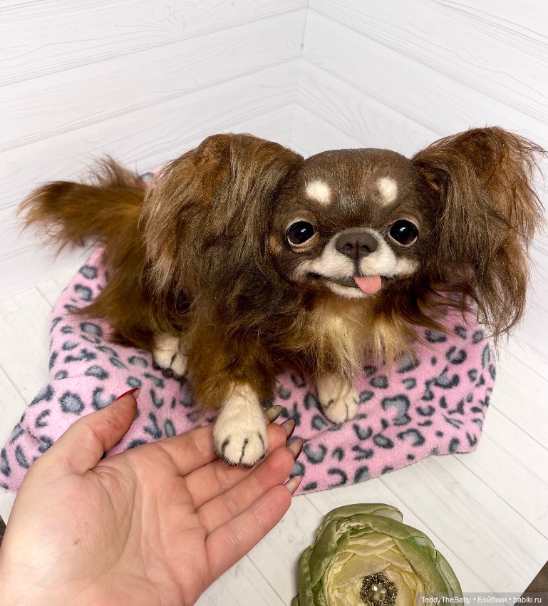 Длинношерстный портретный