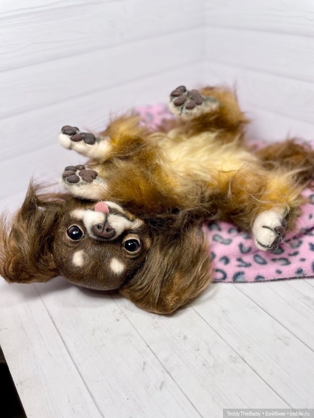 Длинношерстный портретный