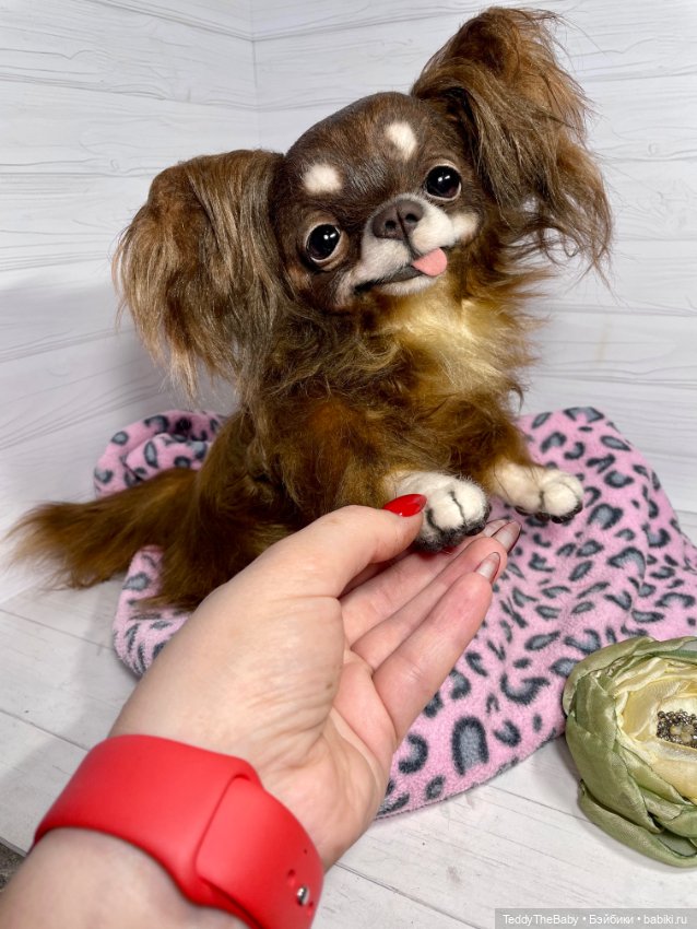 Длинношерстный портретный