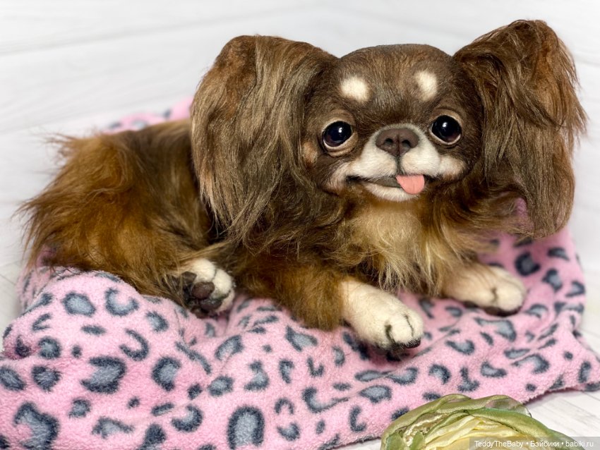 Длинношерстный портретный (фото 10)