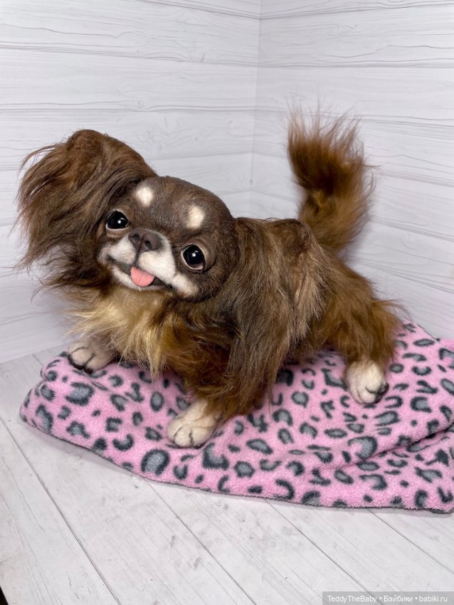 Длинношерстный портретный