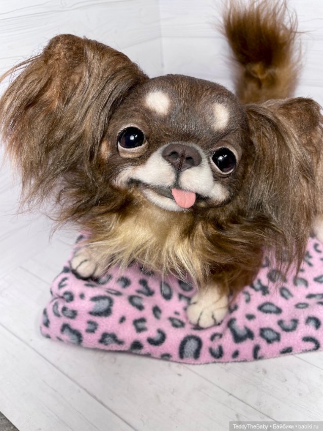 Длинношерстный портретный (фото 2)