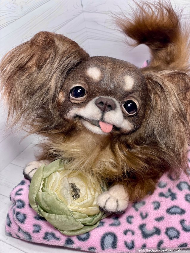 Длинношерстный портретный