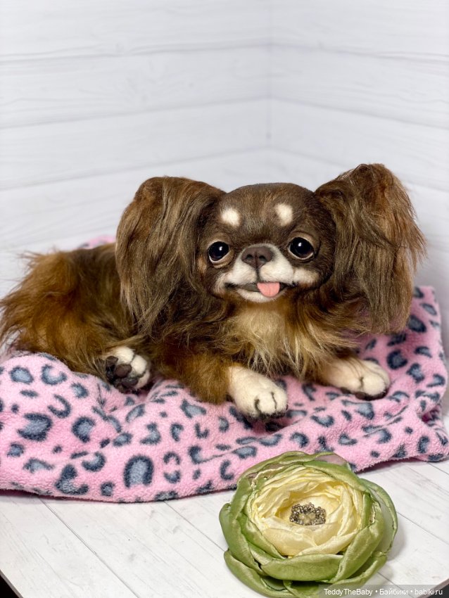 Длинношерстный портретный (фото 8)