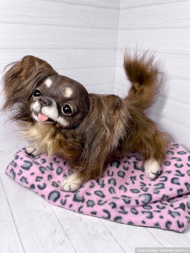 Длинношерстный портретный