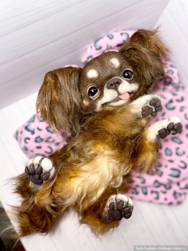 Длинношерстный портретный (фото 4)