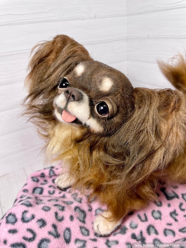 Длинношерстный портретный