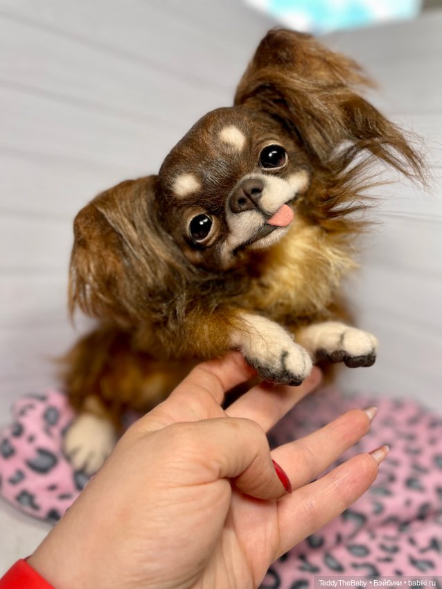 Длинношерстный портретный