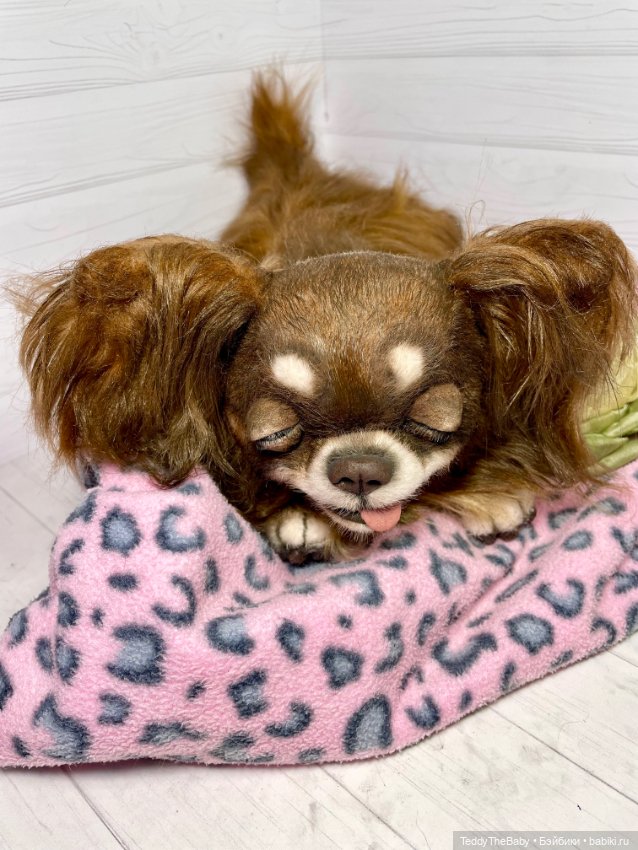 Длинношерстный портретный