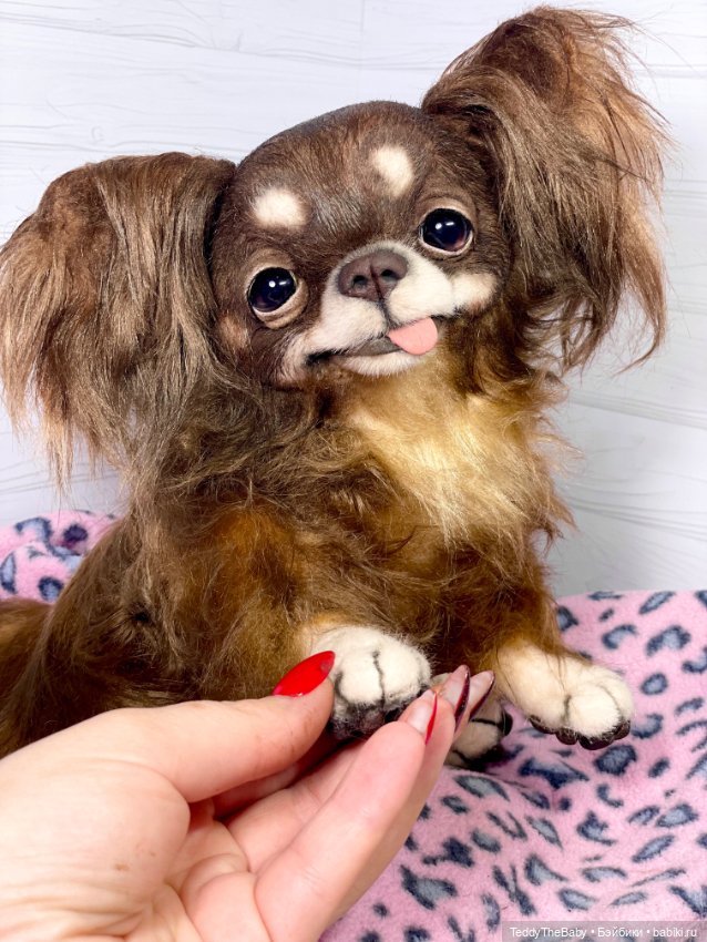 Длинношерстный портретный (фото 6)