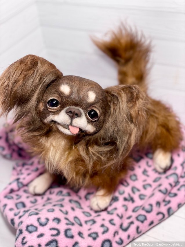 Длинношерстный портретный