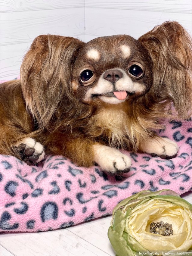 Длинношерстный портретный