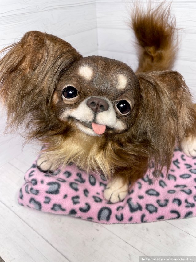 Длинношерстный портретный