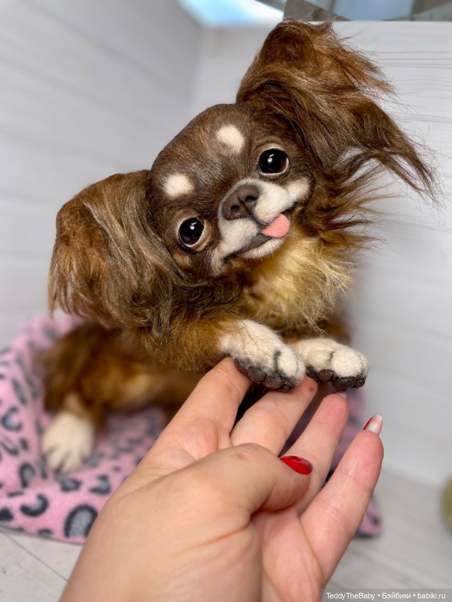 Длинношерстный портретный (фото 3)