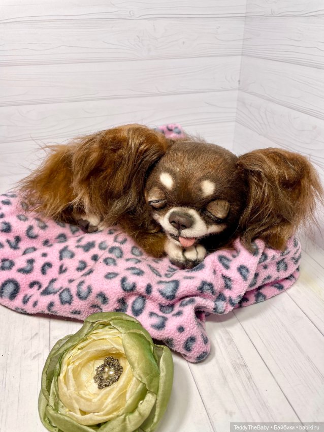 Длинношерстный портретный