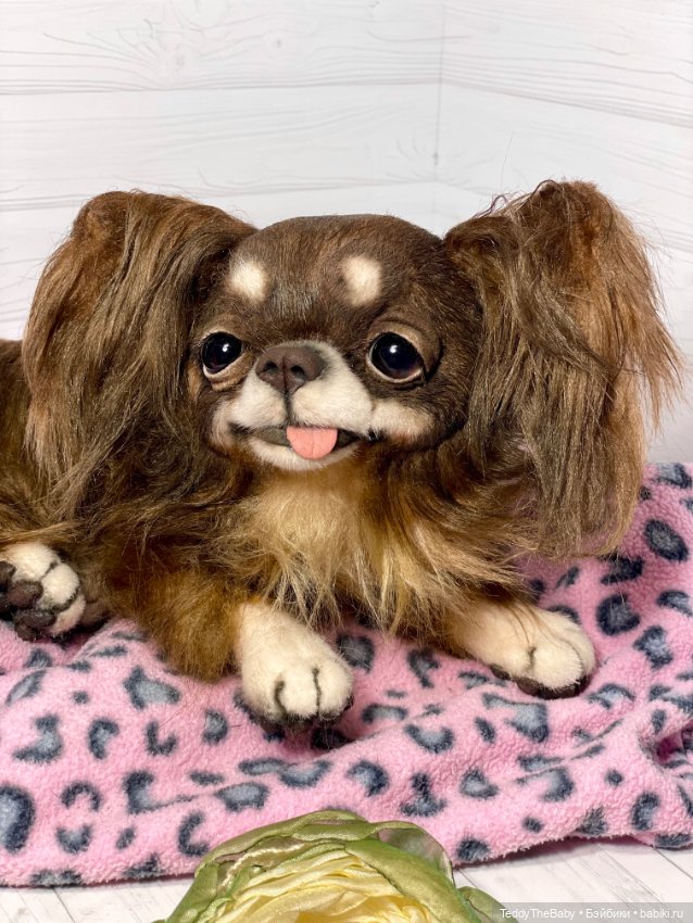 Длинношерстный портретный