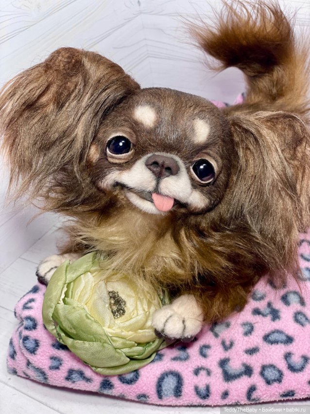 Длинношерстный портретный