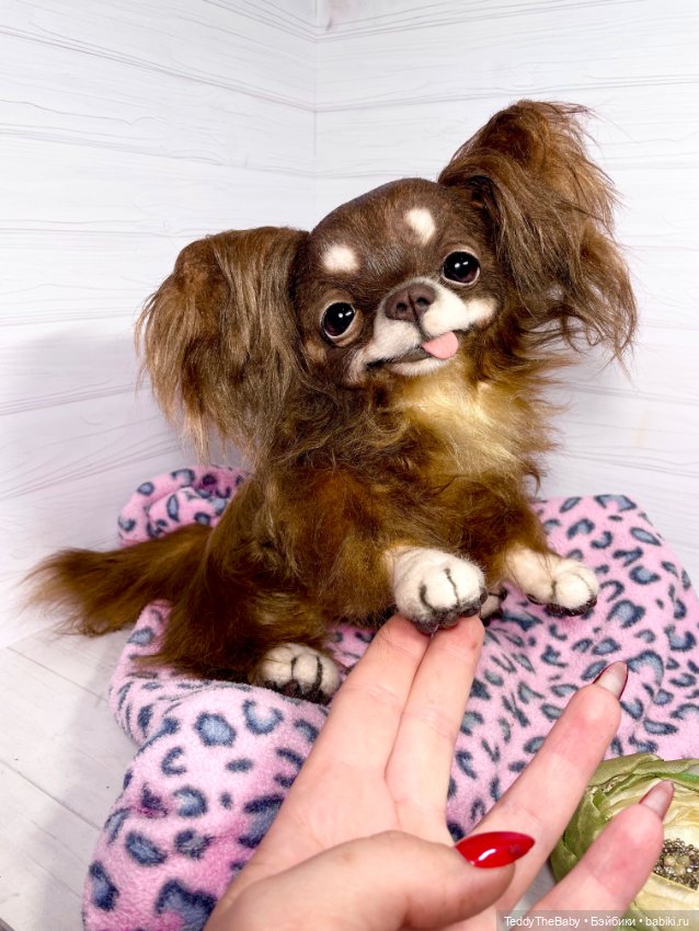 Длинношерстный портретный