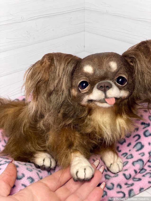 Длинношерстный портретный