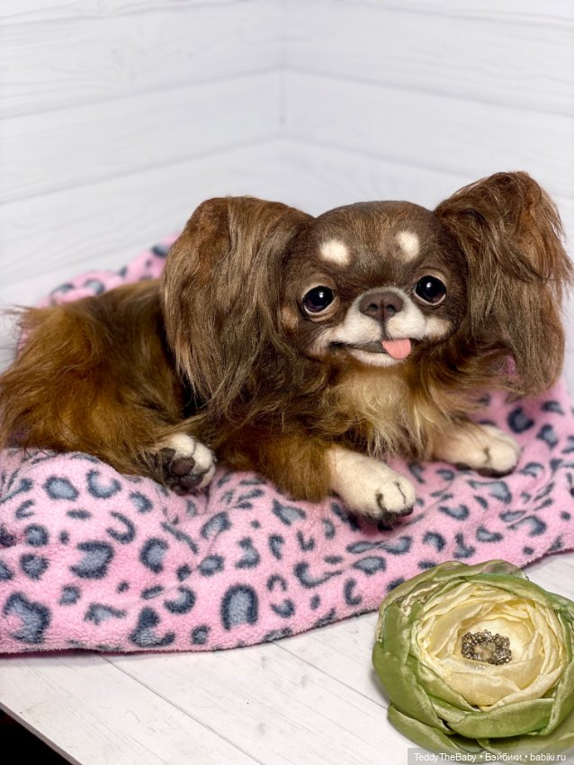 Длинношерстный портретный