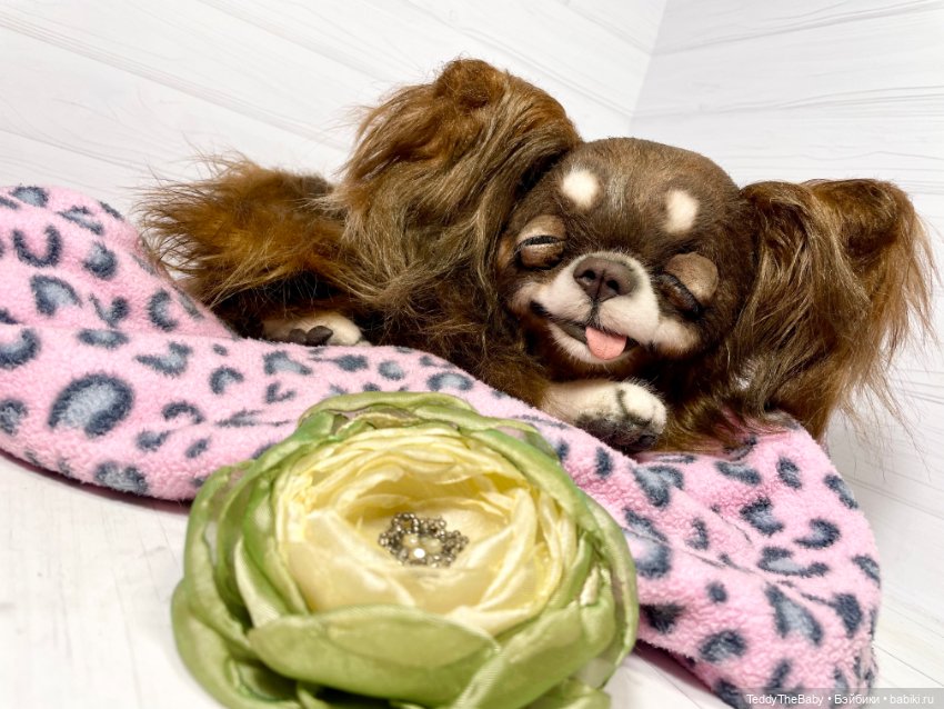 Длинношерстный портретный