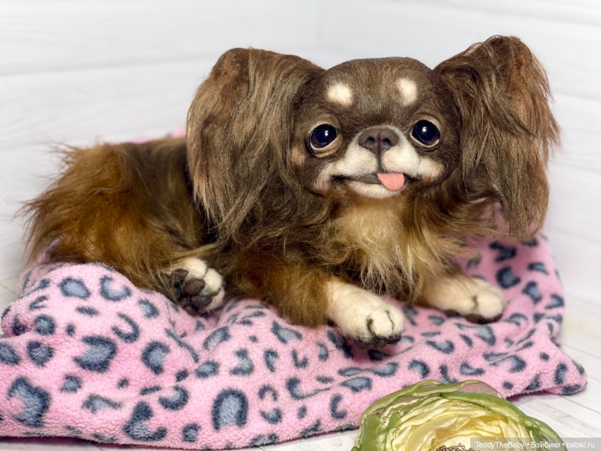 Длинношерстный портретный