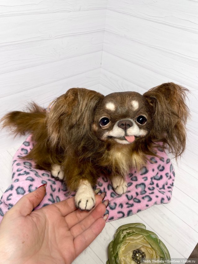 Длинношерстный портретный