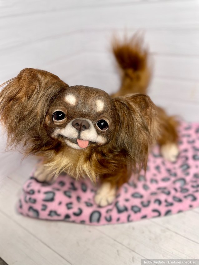 Длинношерстный портретный