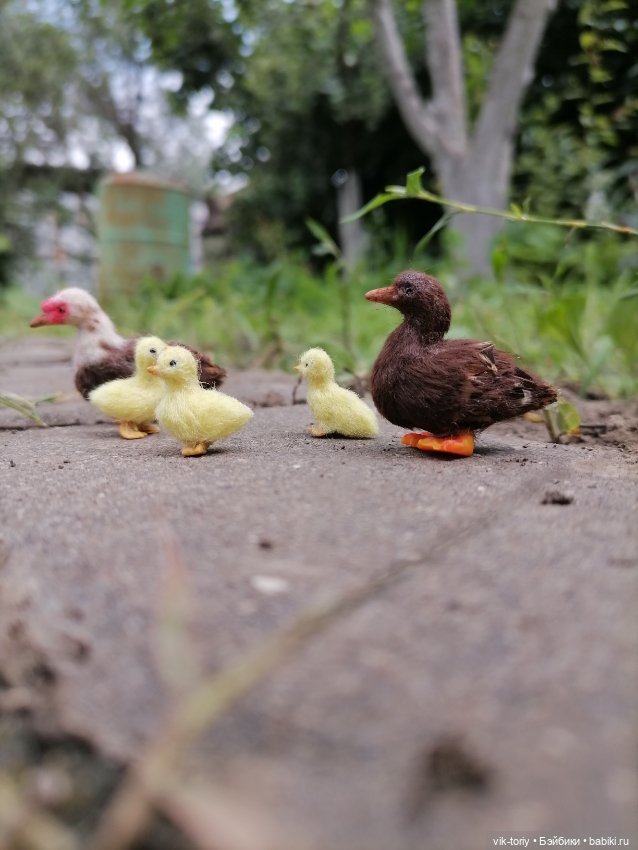 Птичий переполох Часть третья Утки (фото 10)