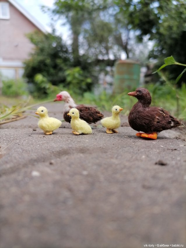 Птичий переполох Часть третья Утки (фото 9)