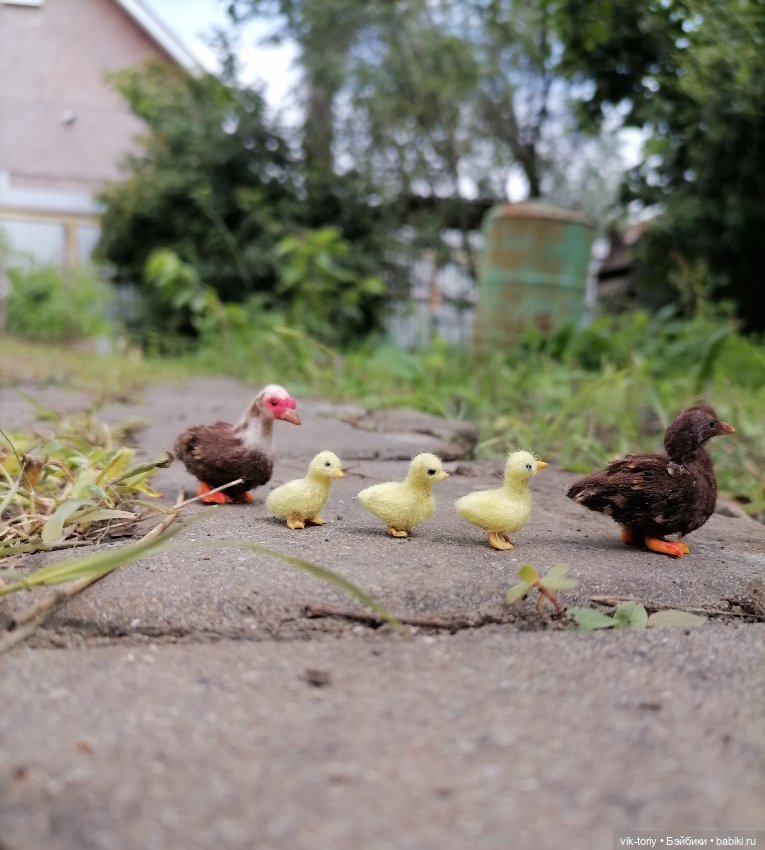 Птичий переполох Часть третья Утки (фото 2)