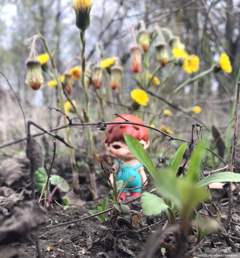 Мои фигурки POP MART HIRONO (фото 2)