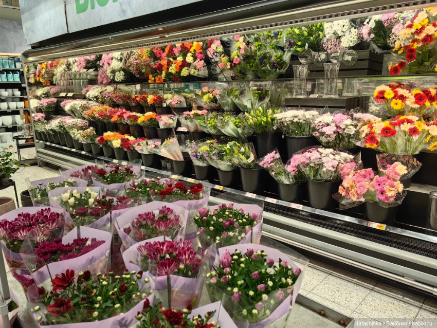 Музыкальная история 11 — Туризм и путешествия: фотоотчеты из поездок