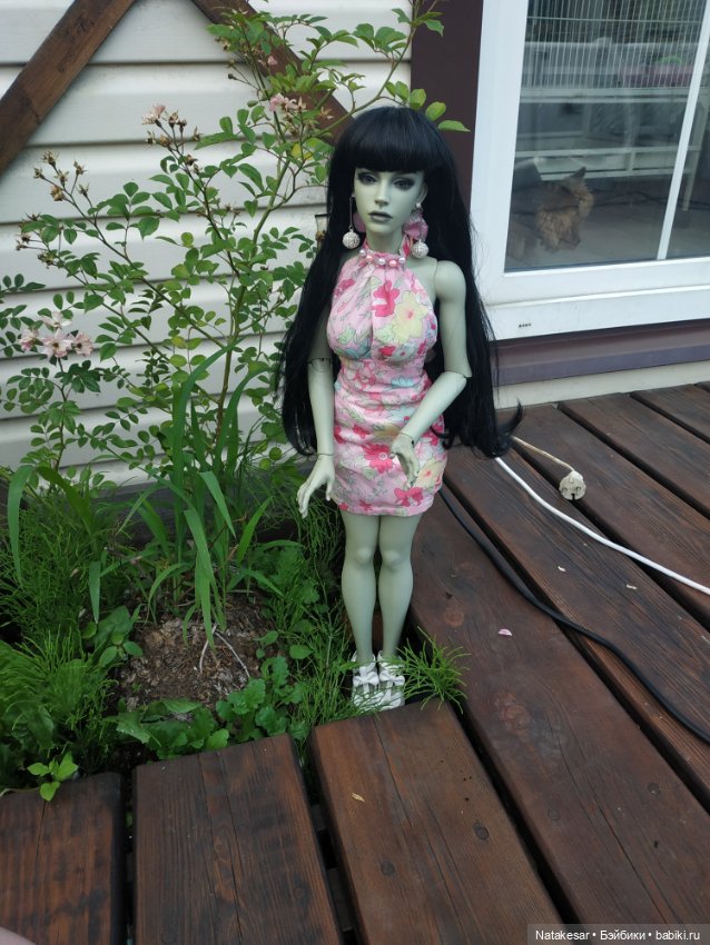 Летняя прогулка БЖД Раффины (фото 3)