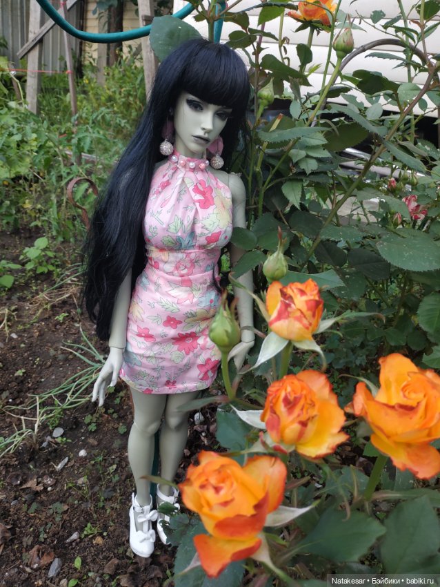 Летняя прогулка БЖД Раффины (фото 6)