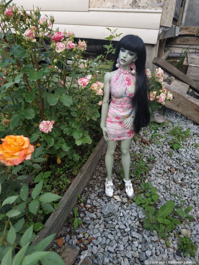 Летняя прогулка БЖД Раффины (фото 10)