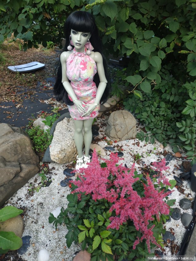 Летняя прогулка БЖД Раффины (фото 2)