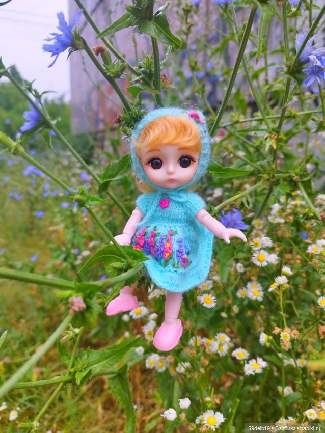 Цикорий голубой расцвел — Российские куклы Весна (фото 6)