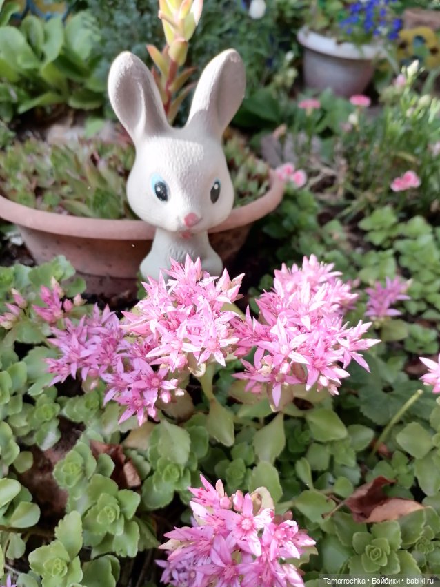 Семья зайцев — Коллекции винтажных кукол и игрушек: СССР (фото 8)