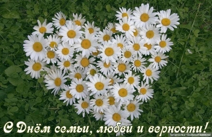 Семья зайцев — Коллекции винтажных кукол и игрушек: СССР