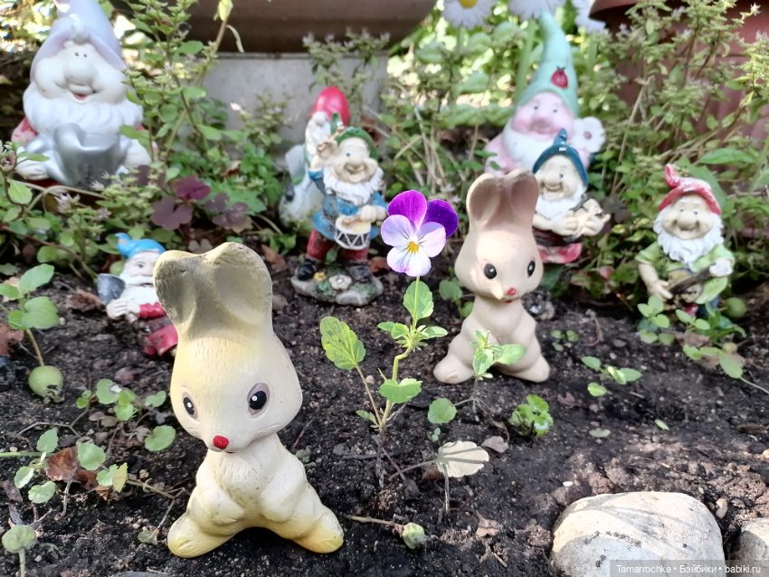 Семья зайцев — Коллекции винтажных кукол и игрушек: СССР (фото 7)