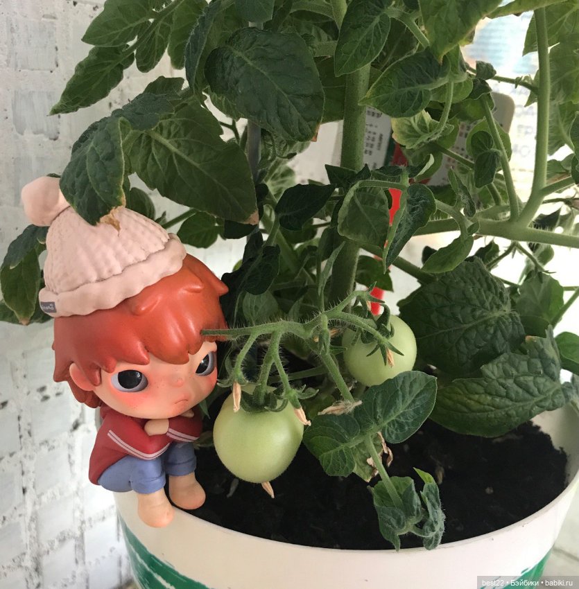 Мои фигурки POP MART HIRONO (фото 6)